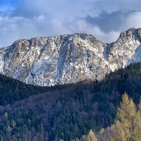 Apartament Rysy Apartamentyzakopianskie Basen Sauna Jacuzzi Zakopane Dış mekan fotoğraf